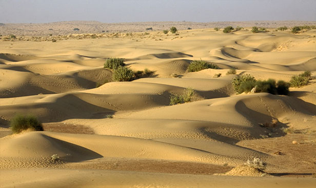 Sam Sand Dunes places to visit in jaisalmer